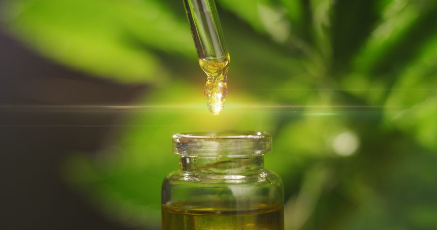 CBD: The Beginners Guide To Everything CBD - NugSmasher